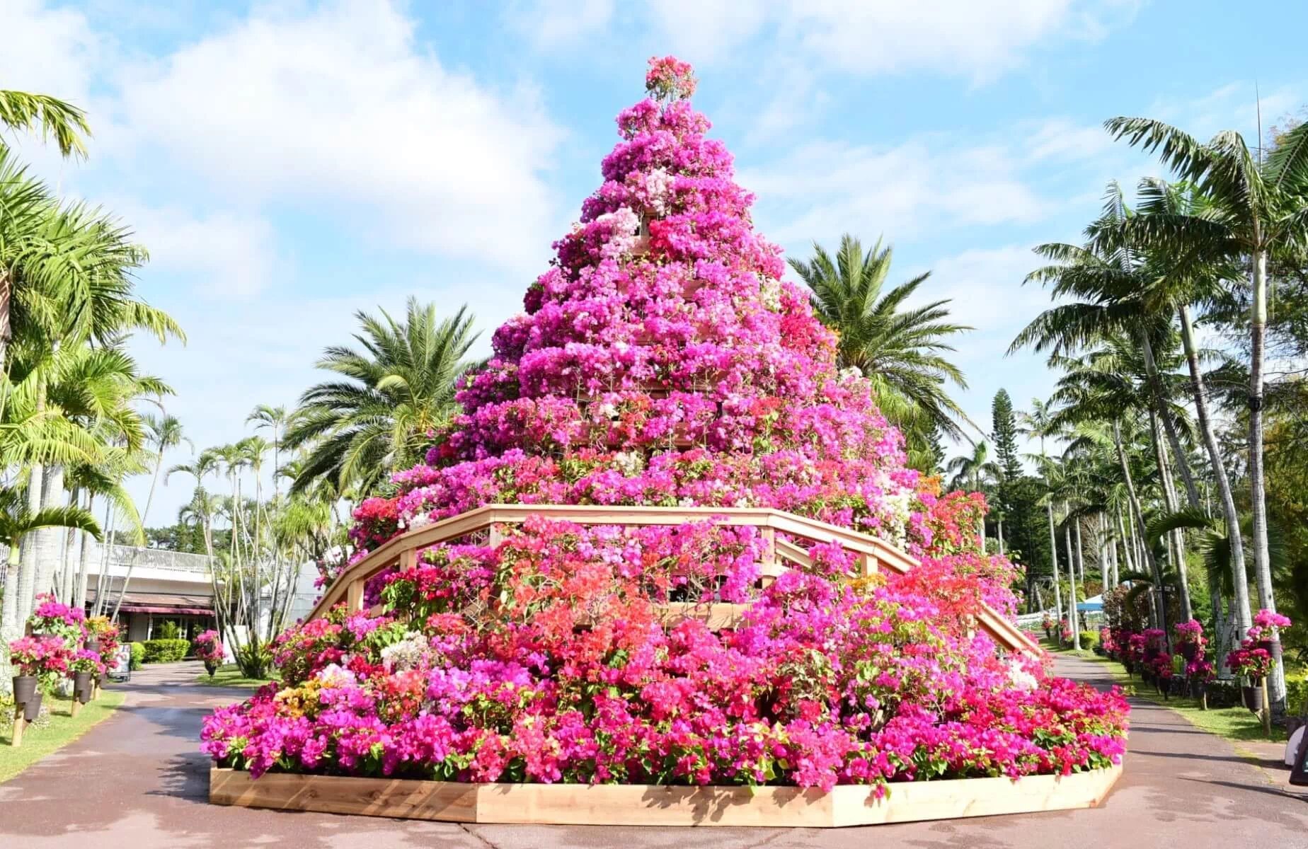 🌳 오노야마 공원(오우노야마 코엔) 이미지 11